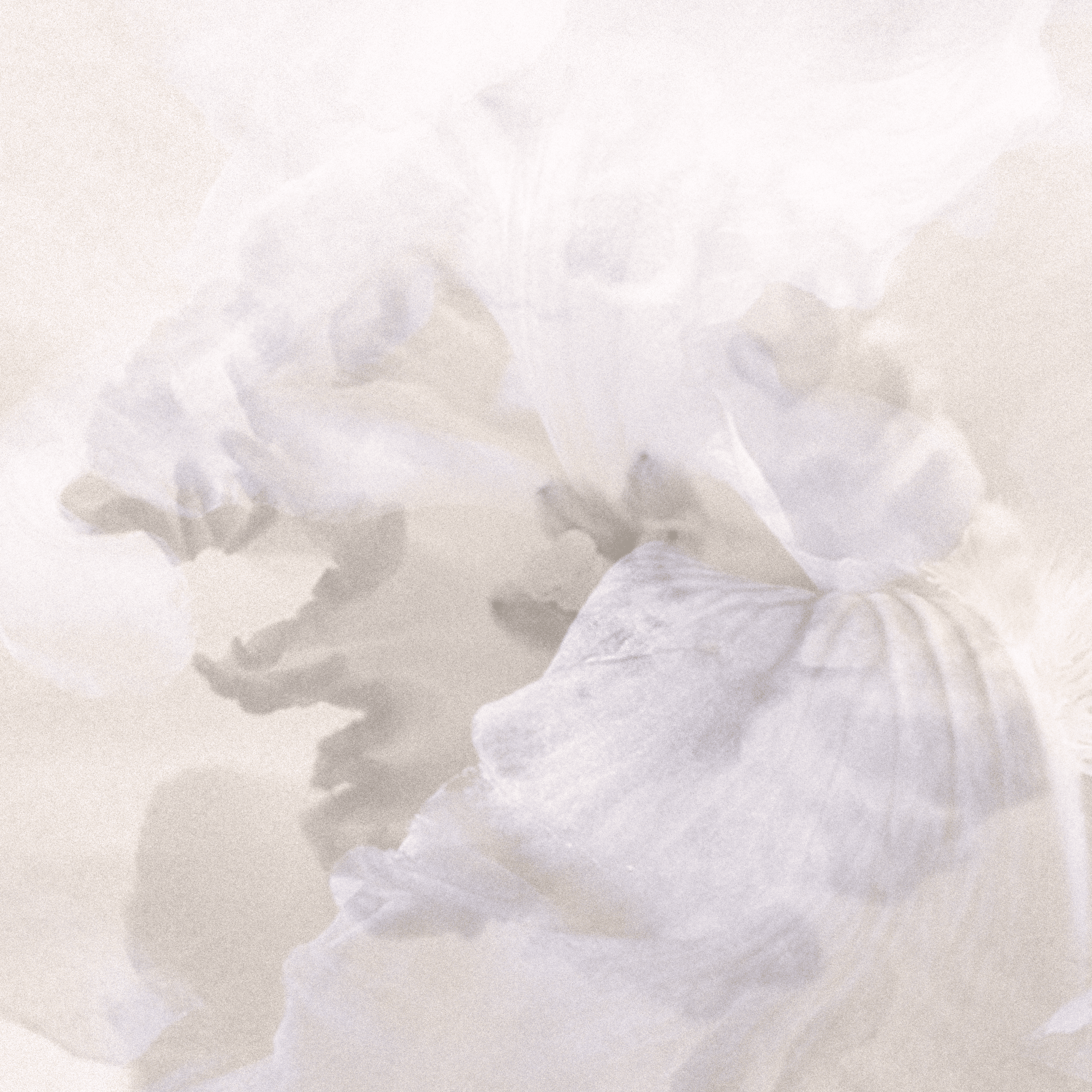 A new rustic vision, drawing from the early gothic, sculpture, and reimagined rural life