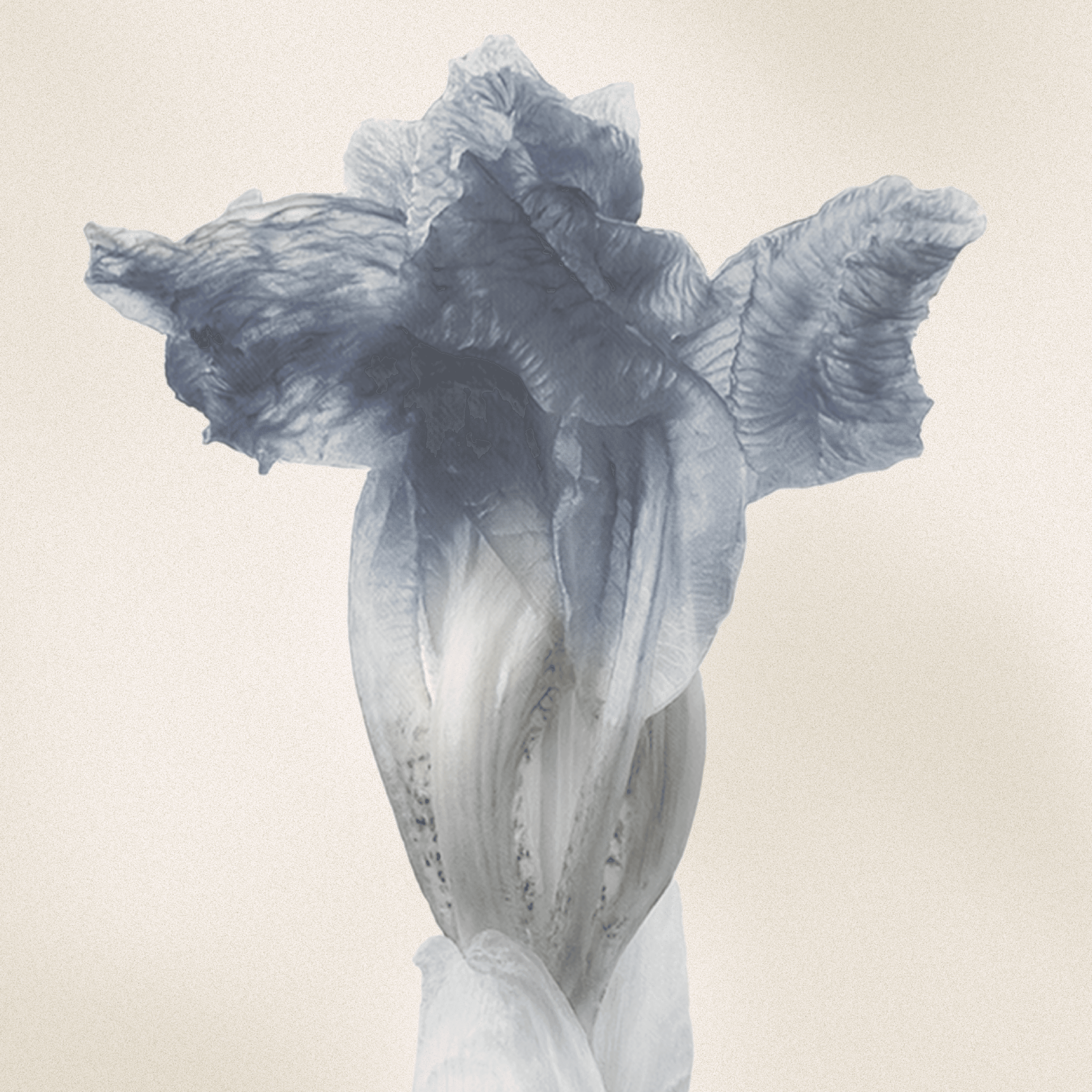 The body of Gene resembles a human, and contains both male and female qualities, an androgynous angel form